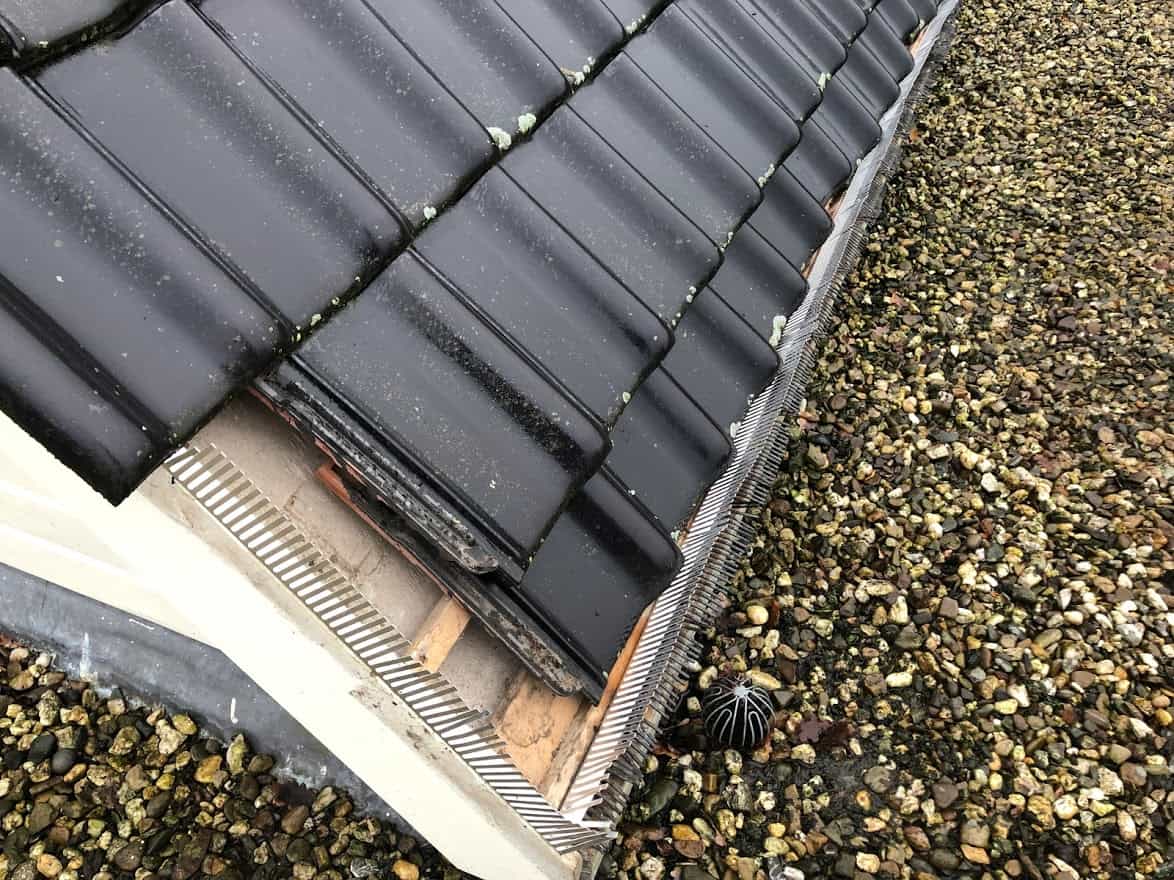 Vogelwering passend langs de onderste pannenrij